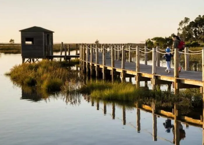 Mare Do Bairro Beira Mar 度假居 阿威罗